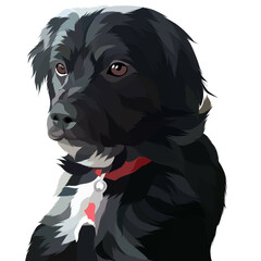 Animal vector illustration