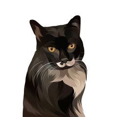 Animal vector illustration