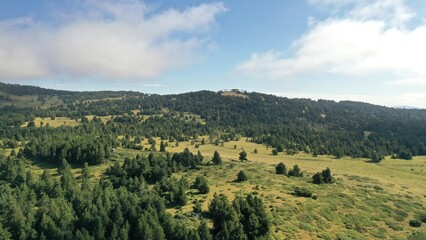 Fototapeta premium survol du massif des Pyrénées et des forets dans les Pyrénées-Orientales, sud de la France, parc naturel des Bouillouses