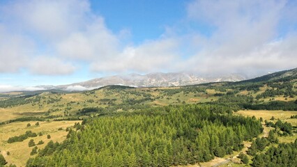 Fototapeta na wymiar survol du massif des Pyrénées et des forets dans les Pyrénées-Orientales, sud de la France, parc naturel des Bouillouses