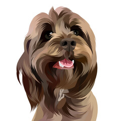 Animal vector illustration