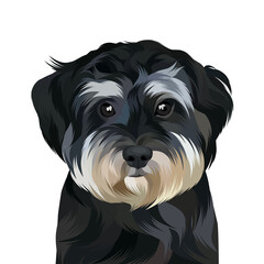 Animal vector illustration