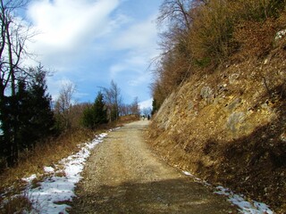 Gravel road leading through woodland to St. Jakob in Slovenia