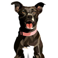 Animal vector illustration