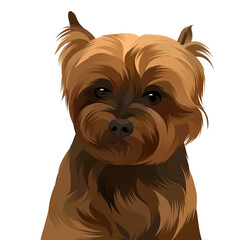 Animal vector illustration