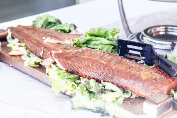 Salmon