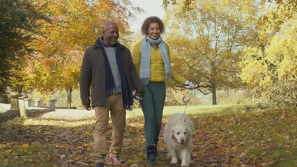 Senior couple with pet golden retriever dog walking in autumn countryside - shot in slow motion - Powered by Adobe