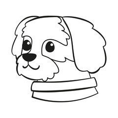 Isolated cute cavalier king charles spaniel dog breed cartoon Vector illustration
