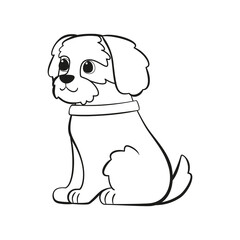 Fototapeta premium Isolated cute cavalier king charles spaniel dog breed cartoon Vector illustration