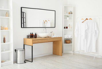 Interior of stylish bathroom with modern sink and different bath supplies