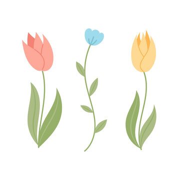 Set of vector cartoon flowers, tulips and cornflower.