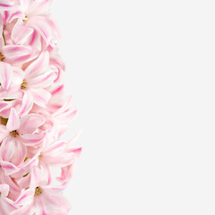 Flowers composition. Pink, rose quartz hyacinth on a white background. Concept spring postcard, greeting card wedding, birthday, mother's day, women's day. Flat lay, copy space, close up, square