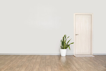 View of light wall with houseplant, door and mat in big empty room
