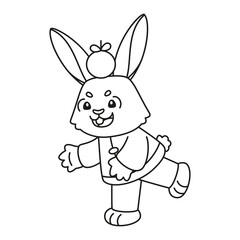 Isolated cute rabbit with traditional chinese clothes Zodiac sign Vector illustration
