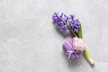 Gift boxes with beautiful hyacinth flowers on light background