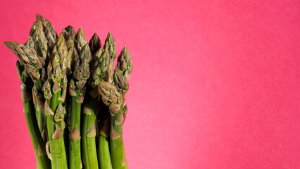 on the left, a bunch of fresh green asparagus stands on a pink background. side view. spring...