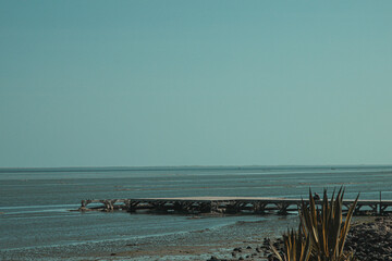 savage coast of Djerba in Tunisia 