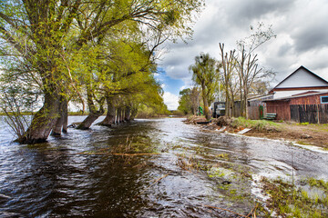 Spring flood on the Pripyat River. Polissya, Belarus, spill at Pripyat on the border with Ukraine.