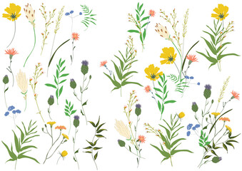 Naklejka na ściany i meble Big set botanic floral elements. Branches, leaves, foliage, herbs, flowers. Garden, field, meadow wild plants collected in bouquet collection. Colorful vector illustration isolated on white background