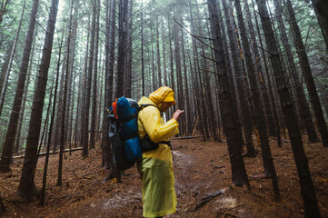 Blurred photo of male hiker standing in rainforest in mountains during hike, focus on trees