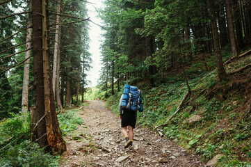 Fototapeta premium Male hiker with a backpack on his back walks on a trail in the mountains through the woods, view from the back