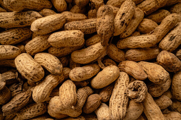 Fototapeta premium photography of various peanuts 