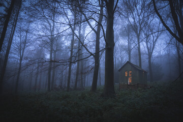 Photo of night forest with small house in it