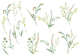 Big set botanic floral elements. Branches, leaves, foliage, herbs, flowers. Garden, field, meadow wild plants collected in bouquet collection. Colorful vector illustration isolated on white background