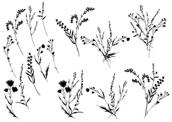 Big set silhouettes botanic floral elements. Branches, leaves, herbs, flowers. Garden, field, meadow wild plants collected in bouquet collection. Vector illustration isolated on white background