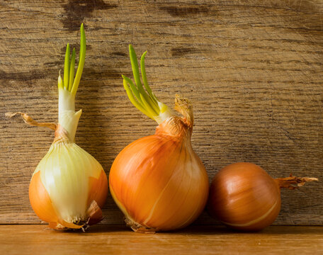 Close Up of Shallots or Red Spanish Onion Stock Image - Image of