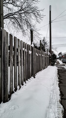 snow covered fence