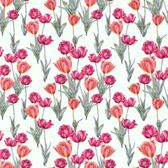 Seamless pattern watercolor red orange tulip with green leaves isolated on white background. Hand-drawn spring flower for celebration card march 8. Art for wallpaper wrapping sketchbook florist