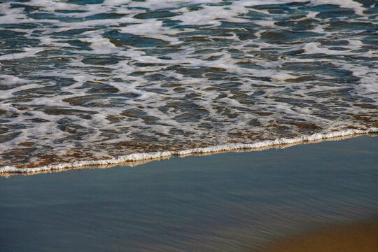 Seashore 