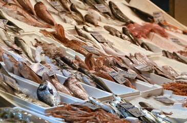 Üppige Fischauswahl auf dem Markt von Saloniki