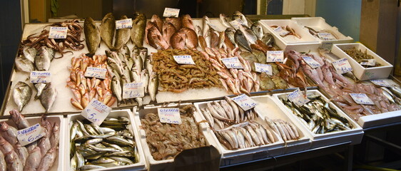 Riesige Auswahl frischen Fischs auf dem Markt von Saloniki