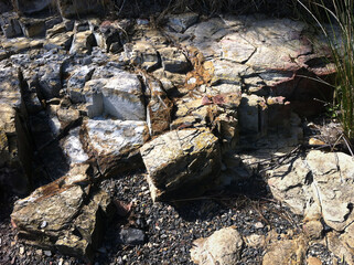 Patterns and textures in rock formations along the riverbanks of the Derwent river Hobart