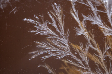 Preserved egg surface texture structure, macro photography