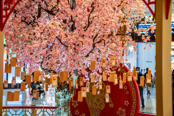 Wishing cards hanging on branches of pink beautiful cherry blossom tree, Wishing labels hanging on cherry blossom tree