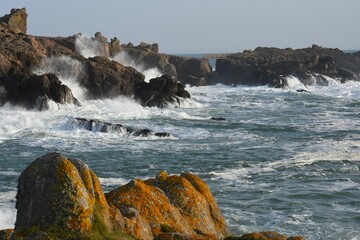 Pointe de la Tranche, ile d'Yeu, Vendée, France