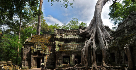 Famous Ta Prohm with Banyan tree in Angkor Wat temple in Siem Reap, Cambodia