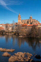 Obraz premium Salamanca skyline view with Cathedral and Enrique Estevan Bridge on Tormes River, Spain