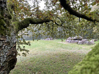 Landscape with Dutch megaliths