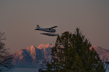 Seaplane over the trees