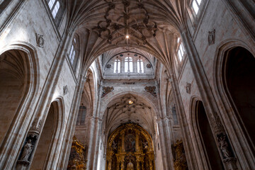 Obraz premium Detail from the interior of St. Stephen's Church in Salamanca, Spain