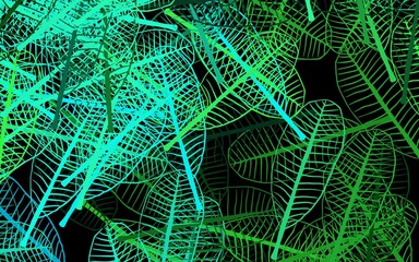 Dark Green vector abstract backdrop with leaves.