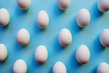 Okay who else here is eggsited. Studio shot of a bunch of eggs against a colored background neatly placed in rows.