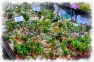 Many colorful plants and flowers in the plant shop watercolor style illustration impressionist painting.