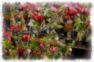 Fototapeta na wymiar Many colorful plants and flowers in the plant shop watercolor style illustration impressionist painting.