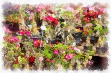Many colorful plants and flowers in the plant shop watercolor style illustration impressionist painting.