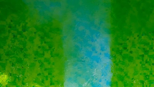 Pool Cleaning. Cleaning the summer pool from green algae.Man brushing a swimming pool .Algae in the pool. slow motion. High quality 4k footage